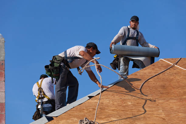 Best Roof Maintenance Services  in Linwood, PA