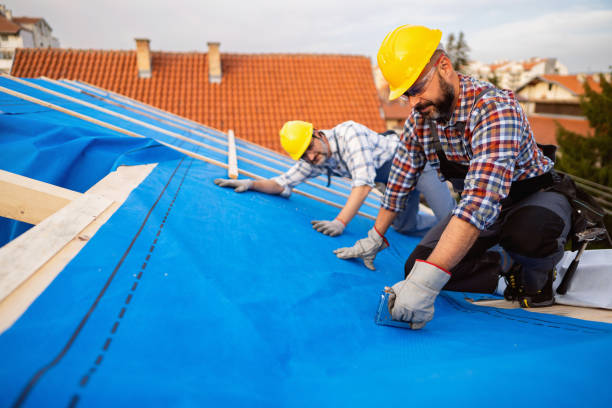 Best Roof Gutter Cleaning  in Linwood, PA